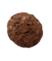 Moose Poop Sticker by truTV