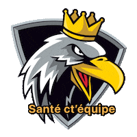 Beerfunding hockey sante beerfunding royalhclausanne Sticker