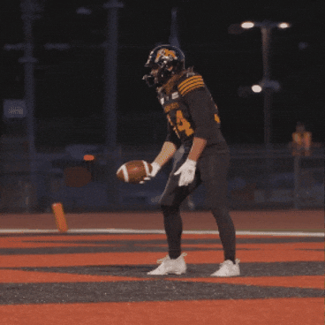 Tiger-Cats Football GIF by Hamilton Sports Group