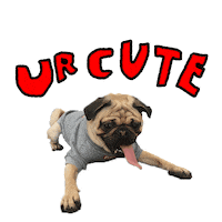 Pug Le Sticker by JohnsonnLe