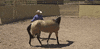 HorseandRider horse horserider buckskin horserider ondemand GIF