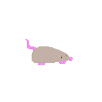 Mouse Rat Sticker