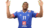 France Hand Sticker by EHF