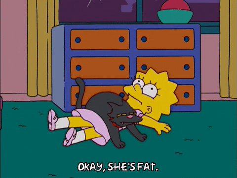 lisa simpson snowball iii GIF