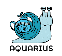 Zodiac Aquarius Sticker