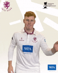 Ginger Umpire GIF by Somerset County Cricket Club