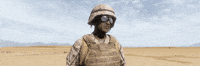 Dayz GIF