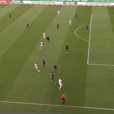 1 Fc Cologne Football GIF by 1. FC Köln