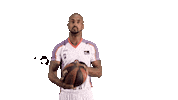 Liga Endesa Basketball Sticker by ACB