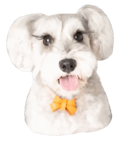 Dogs 犬 Sticker