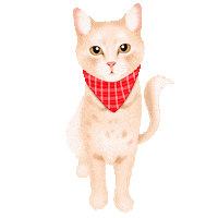 Kian The Cat Sticker by zoopeez