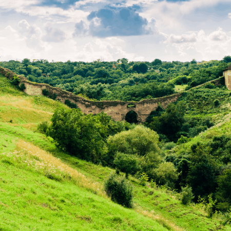 maryhuntly giphygifmaker giphyattribution GIF