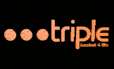 lebron james nba GIF by Triple Basket