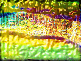 colors houston GIF by MFD