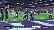 GIF by Minnesota Vikings