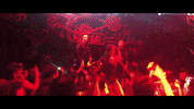 TheKimberlyCole dancing fashion singer performance GIF
