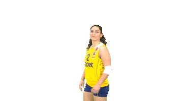 Volleyball Aylinsarıoğlu Sticker by Fenerbahçe Voleybol