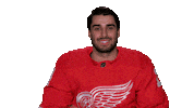 Red Wings Sport Sticker by Detroit Red Wings