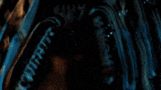 Universal Studios Football GIF by UCF Knights
