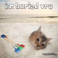 Mei Mei Vro GIF