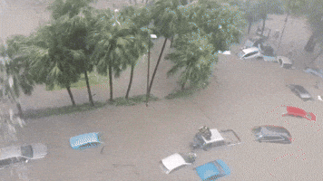 'Total Chaos': Cars Submerged by Floodwater as Flash Floods, Cyclone Hit Mauritius