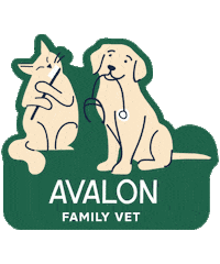 familyvetgroup vet veterinarian familyvet family vet Sticker