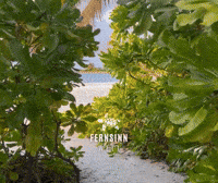 Fernweh GIF by Fernsinn Welt - ReiseBeratung Anja Horn