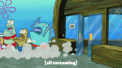 season 9 squid defense GIF by SpongeBob SquarePants