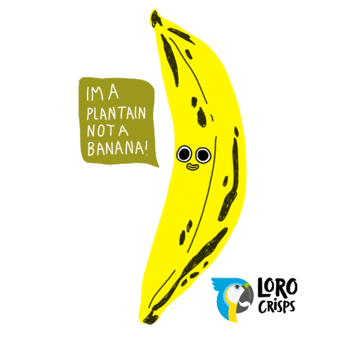lorocrisps colombia banana sunshine salt Sticker