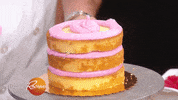 chocolate chip cake GIF by Rachael Ray Show
