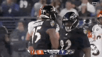 National Football League GIF by NFL