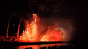 fireworks valencia GIF by For 91 Days