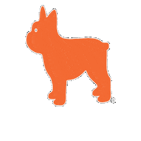 Realestate Luke Sticker by NextHome Elite Real Estate
