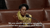 House Of Representatives GIF by GIPHY News