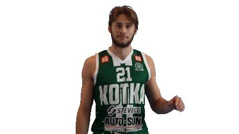 Basketball Hoops Sticker by Basket_fi