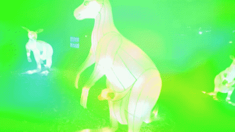 Event Atlanta GIF by ZooATL