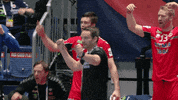 Handball Win GIF by EHF