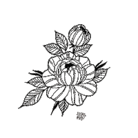 Sticker by Simple Organic Beauty