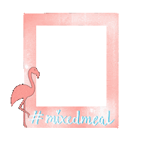 Frame Polaroid Sticker by OFFSET Nutrition