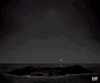 tiff black and white robert pattinson willem dafoe toronto international film festival GIF