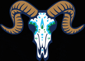 Yard Goats Smile GIF by Hartford Yard Goats