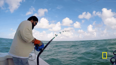 wicked tuna GIF by National Geographic Channel