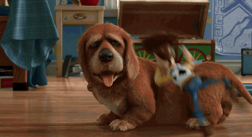 toy story dog GIF by Disney Pixar
