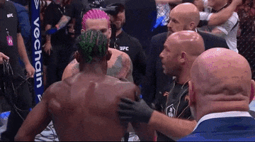 Mixed Martial Arts Sport GIF by UFC