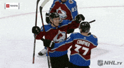 ice hockey hug GIF by NHL