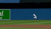 Major League Baseball Sport GIF by MLB