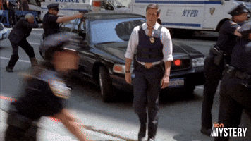 Have I Told You How Much I Love The Media?