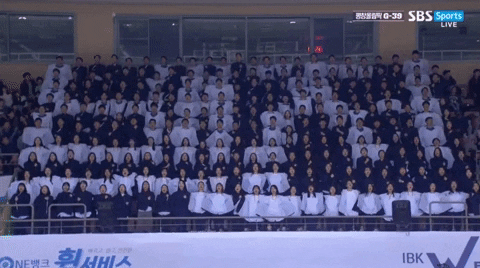 seotor_7 giphyupload GIF