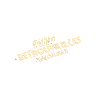 Favcolmar Sticker by FAV