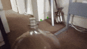 Af GIF